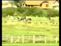 KONJIČKE TRKE ROXOLINA-1. MJESTO TRKA GRADA BIHAĆA 2007. m.wmv