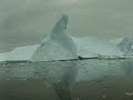 Iceberg Cruise