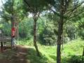 Zipline at Camp Sabros, Davao