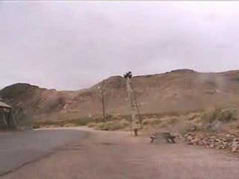 Beatty, Rhyolite, Salt Creek