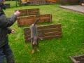 jumping-bessy.html