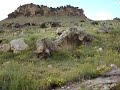 Pinon Canyon-If this land could talk...