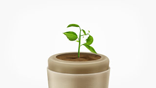Ashes To Earth?