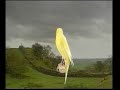Naturaves - (Postura) Scott Fancy.avi