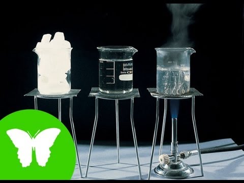 Imatge de previsualització de YouTube