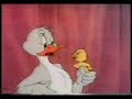 Tom and Jerry Arabic Dubbed