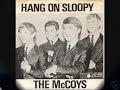 Every Day I Have To Cry Some - The Mc Coys- 1965 Every Day I Have To Cry Some - The Mc Coys- 1965