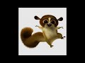 Follow the Flying Squirrel