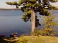 View from Crooked Pine Cottage onto Whitefish Lake