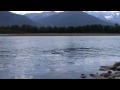 SKEENA ALBY SPEY 2009.mpg