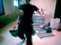 lulle dance! :P