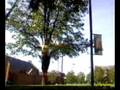 Doing some slackline at Lyden House YSU