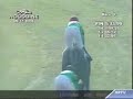 2006 woodbine mile won by team valor's becrux.  comeback race for patrick valenzuela.  shows off woodbine's new saddlecloth technology.