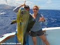 Hot Girls Saltwater Fishing for Dorado, Marlin, Tuna