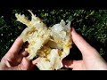 Arkansas Quartz Crystal Cluster