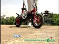 Lithium battery foldable electric bicycle