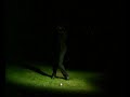 Tiger Woods Nike Swing Portrait Tiger Woods Nike Swing Portrait