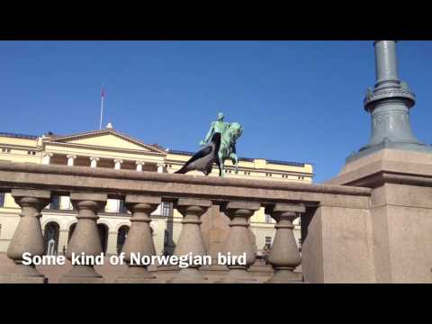 A Norwegian Day in Oslo