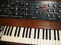 watch me play minimoog with my wiener