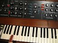 watch me play minimoog with my wiener