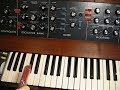 watch me play minimoog with my wiener