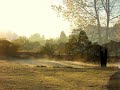 der Lindenbaum - Winterreise