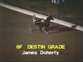Yonkers Raceway 1981 Open Pace Yonkers Raceway 1981 Open Pace