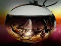 Cube cylinder and cube sphere Compiz GIT Ubuntu 8.10