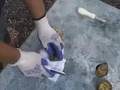 scoop, shuck, slurp