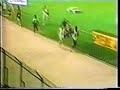 Sebastian Coe WR 800 Sebastian Coe WR 800