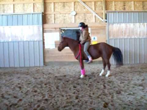 ponyriding