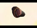 Heavy is...