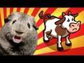 Farmville Sucks!!