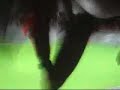 Oxford V Exeter City - Adam Stansfield goal