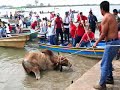 The Shame of Tlacotalpan / La vergüenza de Tlacotalpan