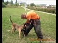 DRESAJ DOGMASTER (malinois paza la stapan 1)