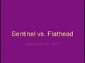 Sentinel vs Flathead - football