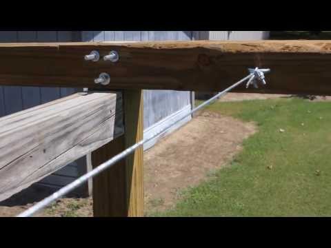 how to trellis a grape vine