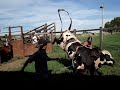 O melhor pe�o do Brasil