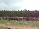 Rainbow Gathering 2008:  Wyoming, July 4th