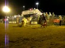 Brandon Maready - Carousel Farms 7/01