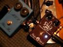 Tone Factor Mystick Octavius with Humbuckers Tone Factor Mystick Octavius with Humbuckers