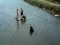 Drunk man in Gucha takes a swim ( Serbia)