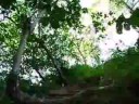 URUAÇU - GO: CACHOEIRA DO CORREGO CABA VIDA URUAÇU - GO: CACHOEIRA DO CORREGO CABA VIDA