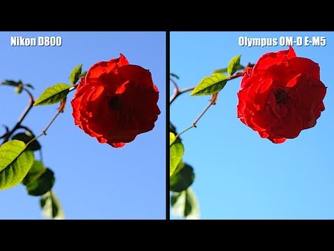 Micro 4/3 vs Full Frame – MFT Sensors Beat $5,500 Leica FF Sensor in DxOmark Testing