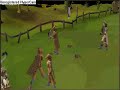 Runescape hunting guide, part 5 Falconry