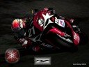 TOURIST TROPHY TOURIST TROPHY