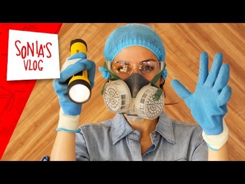 Travel Tips: Bed Bug Survival Guide