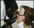 Monkey Business (Hidden Camera) Monkey Business (Hidden Camera)
