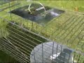The live animal trap. The live animal trap.